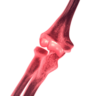 elbow.jpg