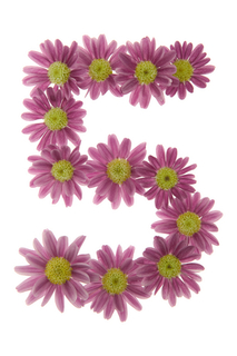 fiveflower.jpg