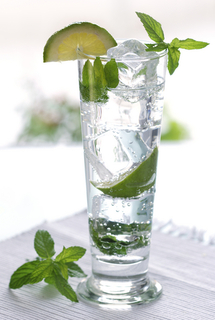 mojito.jpg