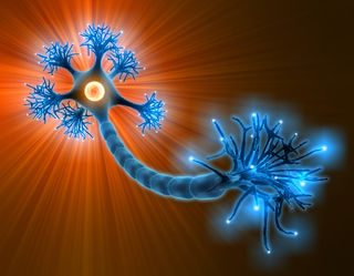 neuron.jpg