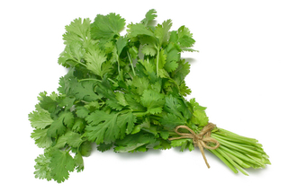 mercurytoxicitycilantro.jpg